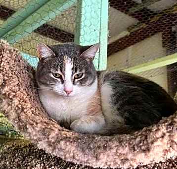 Photo of Elsea