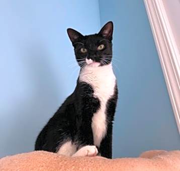 Photo of Tom