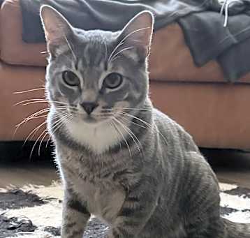 Photo of Olive