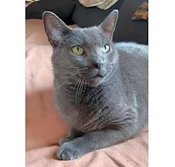 Photo of Mack