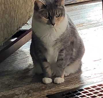 Photo of Lydia.