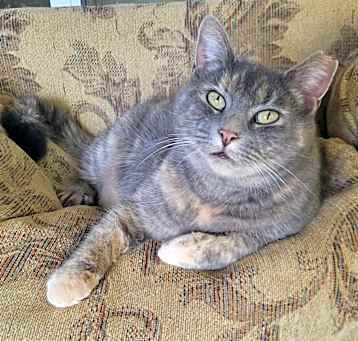 Photo of Little Fat Girl