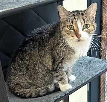 Photo of Willow