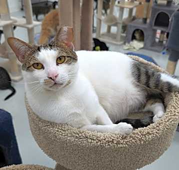 Photo of Alexei