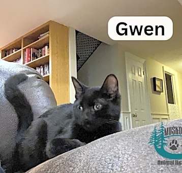 Photo of Gwen