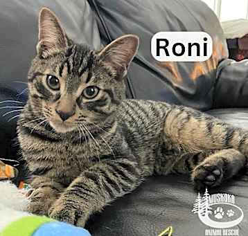 Photo of Roni - Gives Kisses!