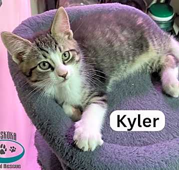Photo of Kyler - Chunky Monkey!