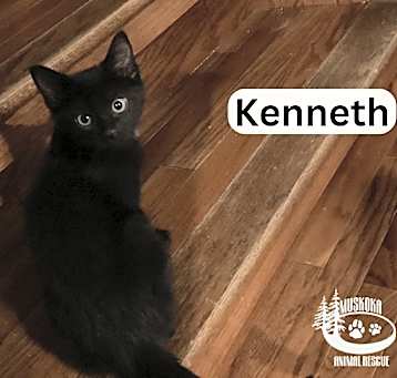 Photo of Kenneth - Busy Boy!