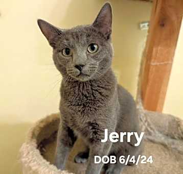 Photo of Jerry