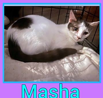 Photo of Masha