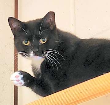 Photo of Jubilee