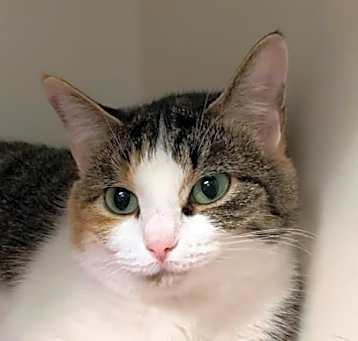 Photo of Daisey