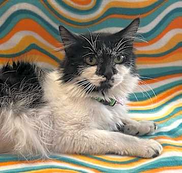 Photo of Seeka