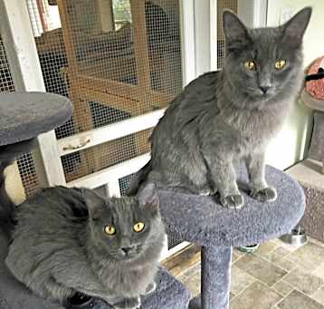 Photo of Ada & Mati