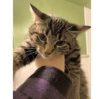 Photo of Keanu