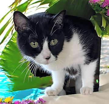 Photo of Sylvia