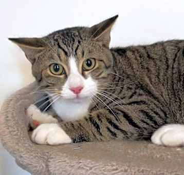 Photo of Sweetie