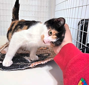 Photo of Loretta