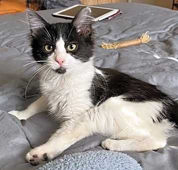 Photo of Lily