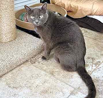 Photo of Anabel