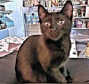 Photo of Zoom