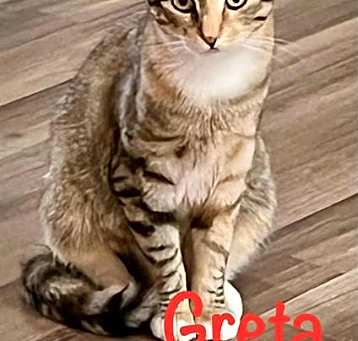 Photo of GRETA