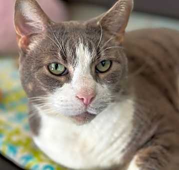 Photo of Soren