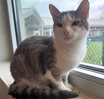 Photo of Astrid