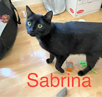 Photo of Sabrina