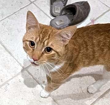 Photo of Charlie