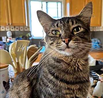 Photo of MAX