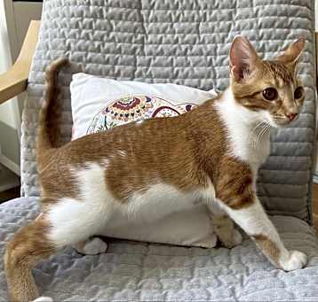 Photo of Farley