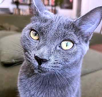 Photo of Galileo