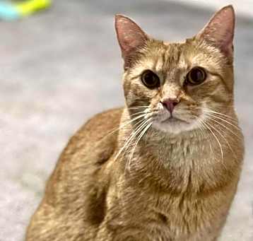 Photo of TWIX