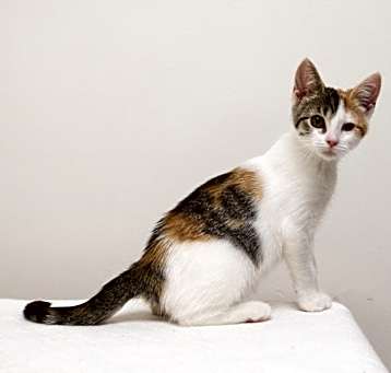 Photo of Katie