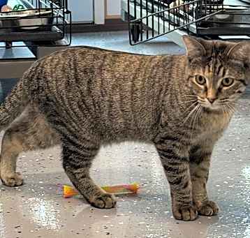 Photo of Kasson