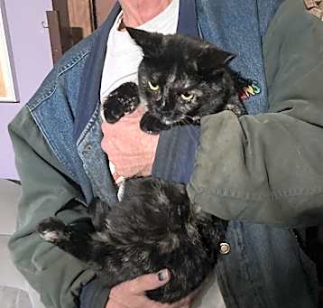 Photo of Torti