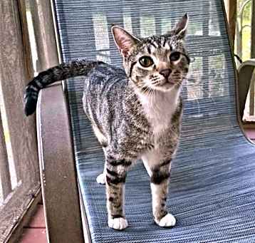 Photo of Stormy
