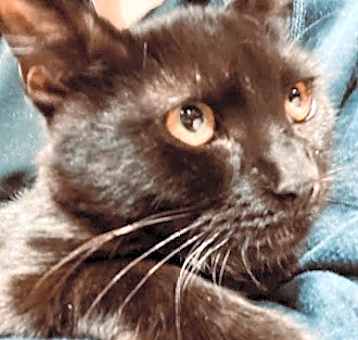 Photo of Raindrop