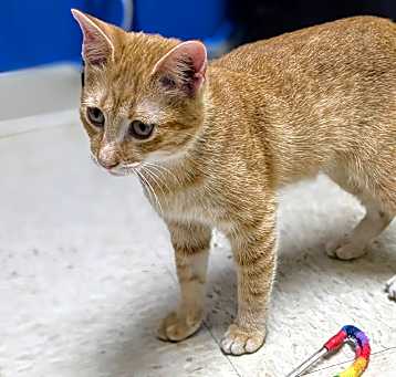 Photo of Tater