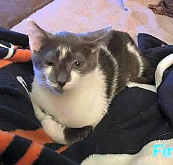 Photo of Finn