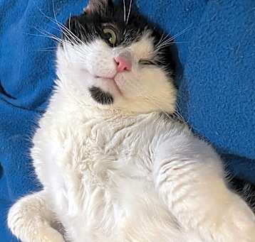 Photo of Rico