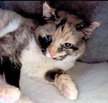 Photo of Elsa