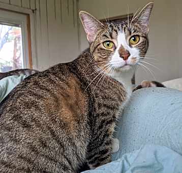 Photo of Phoebe