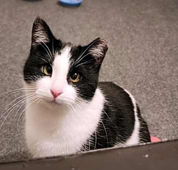 Photo of Dottie