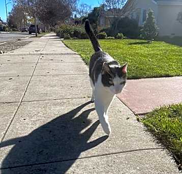 Photo of Lyle