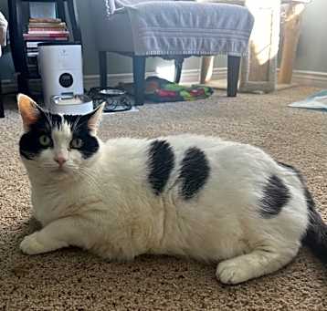 Photo of ROSIE