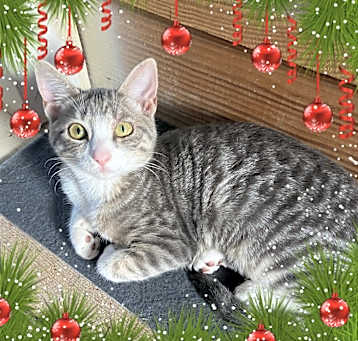 Photo of Lilly