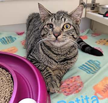 Photo of Patita