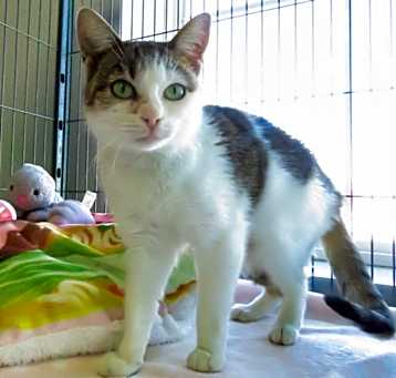 Photo of Hypno